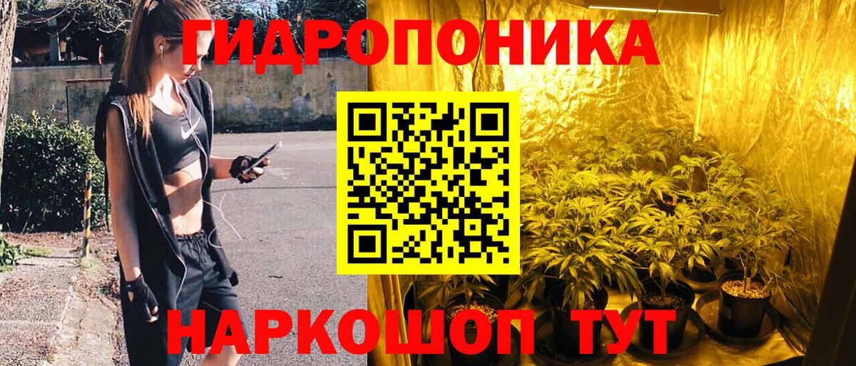 Марихуана White Widow  Вход с VPN  Канабис тримм  Коряжма  Шишки марихуана сатива 